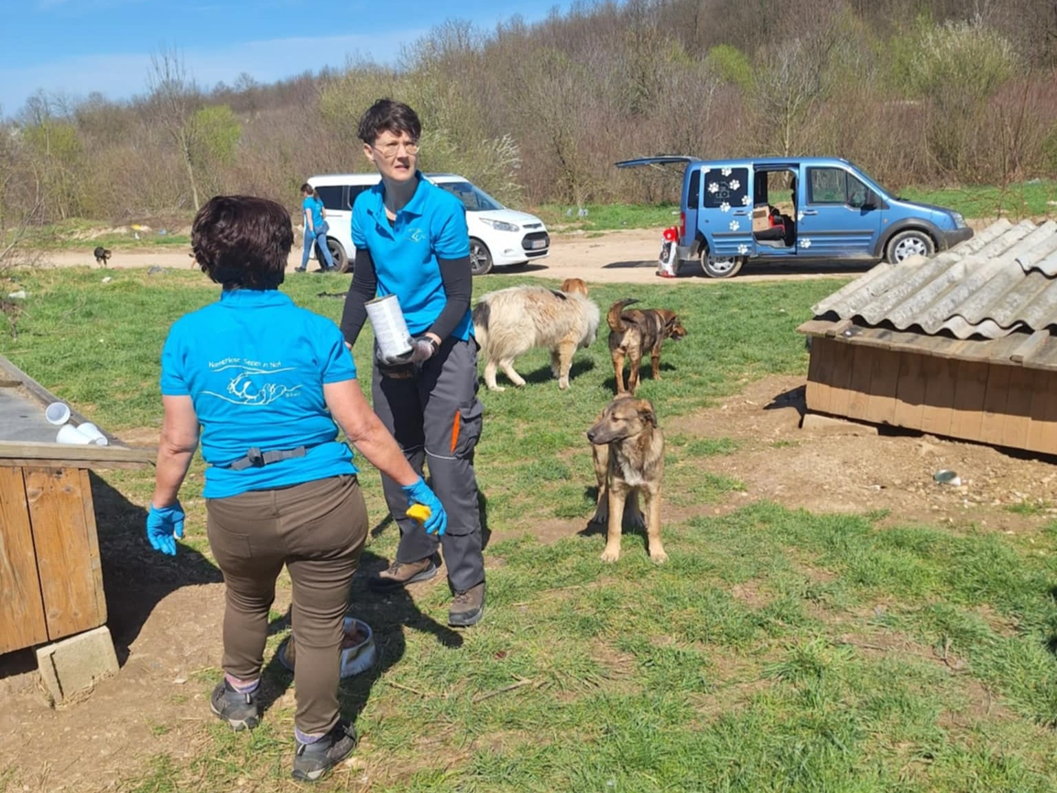 Namenlose Seelen in Not für Hunde der Mülldeponie Bihac 