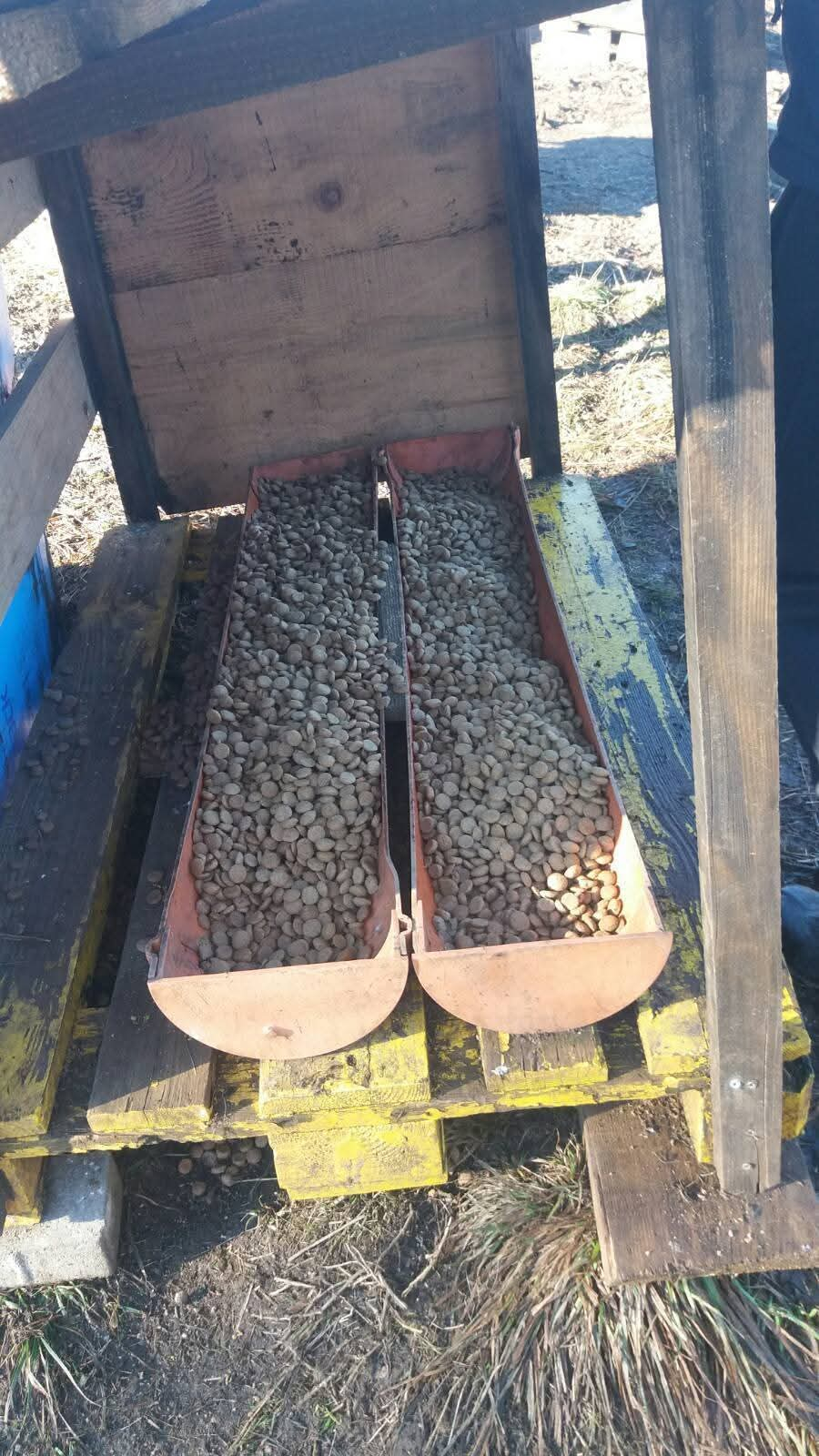 Fütterung; Hunde in Not; Mülldeponie Bihac