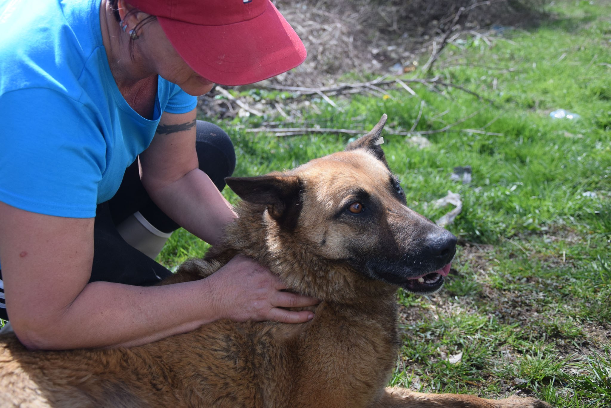 Namenlose Seelen in Not für Hunde der Mülldeponie Bihac 