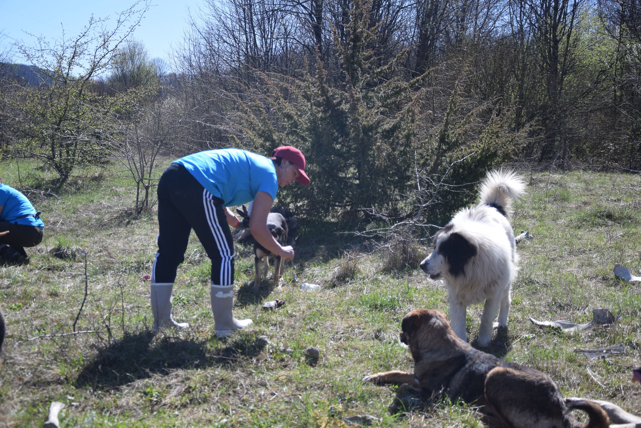 Namenlose Seelen in Not für Hunde der Mülldeponie Bihac 