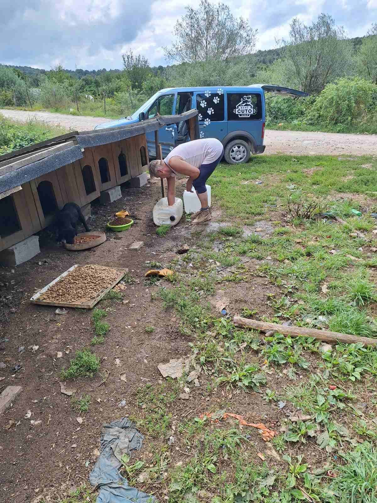 Hunde in Not; Fütterung; Mülledeponie; Bihac; Tierschutz