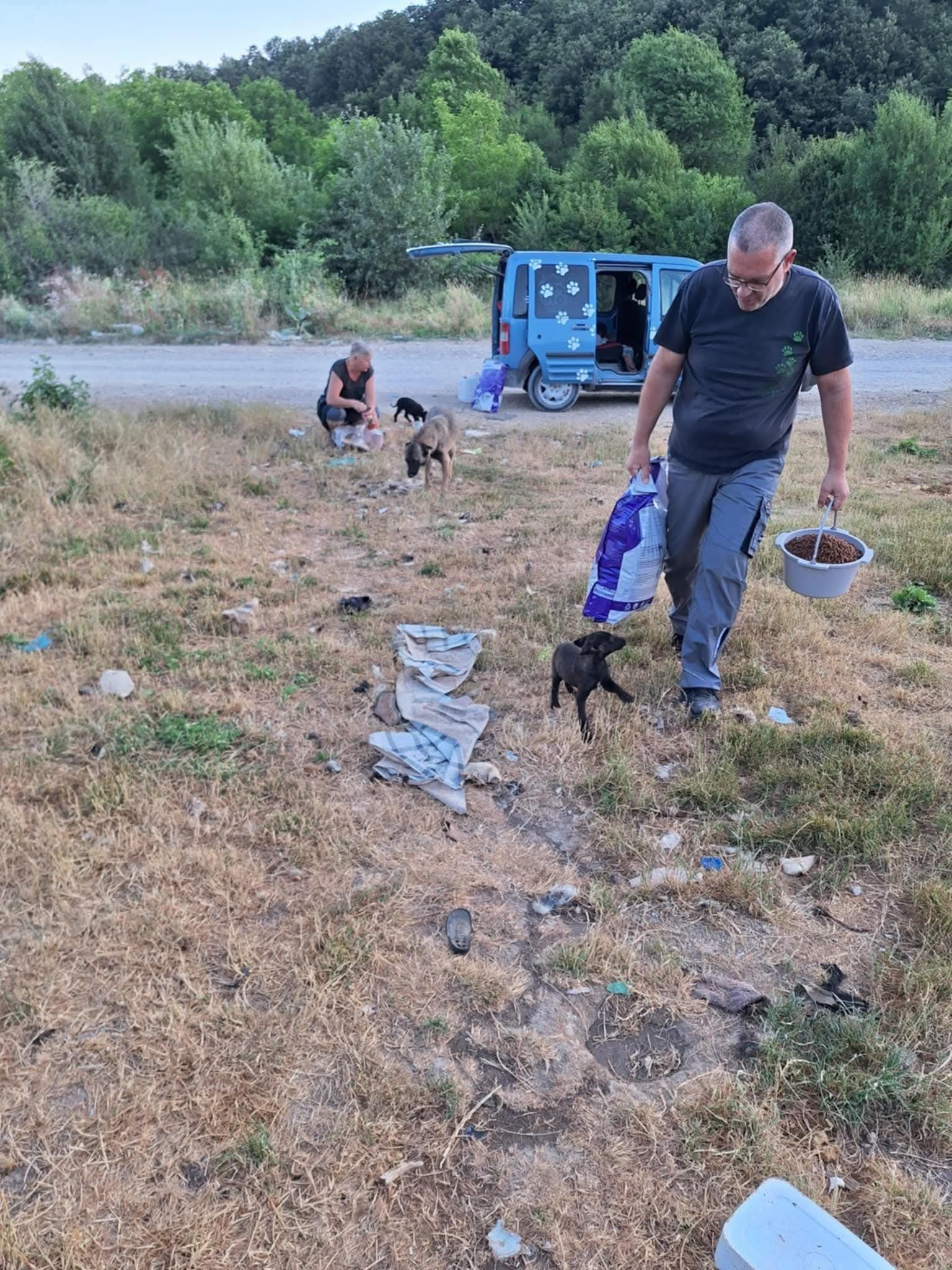 Hunde in Not; Fütterung; Mülledeponie; Bihac; Tierschutz