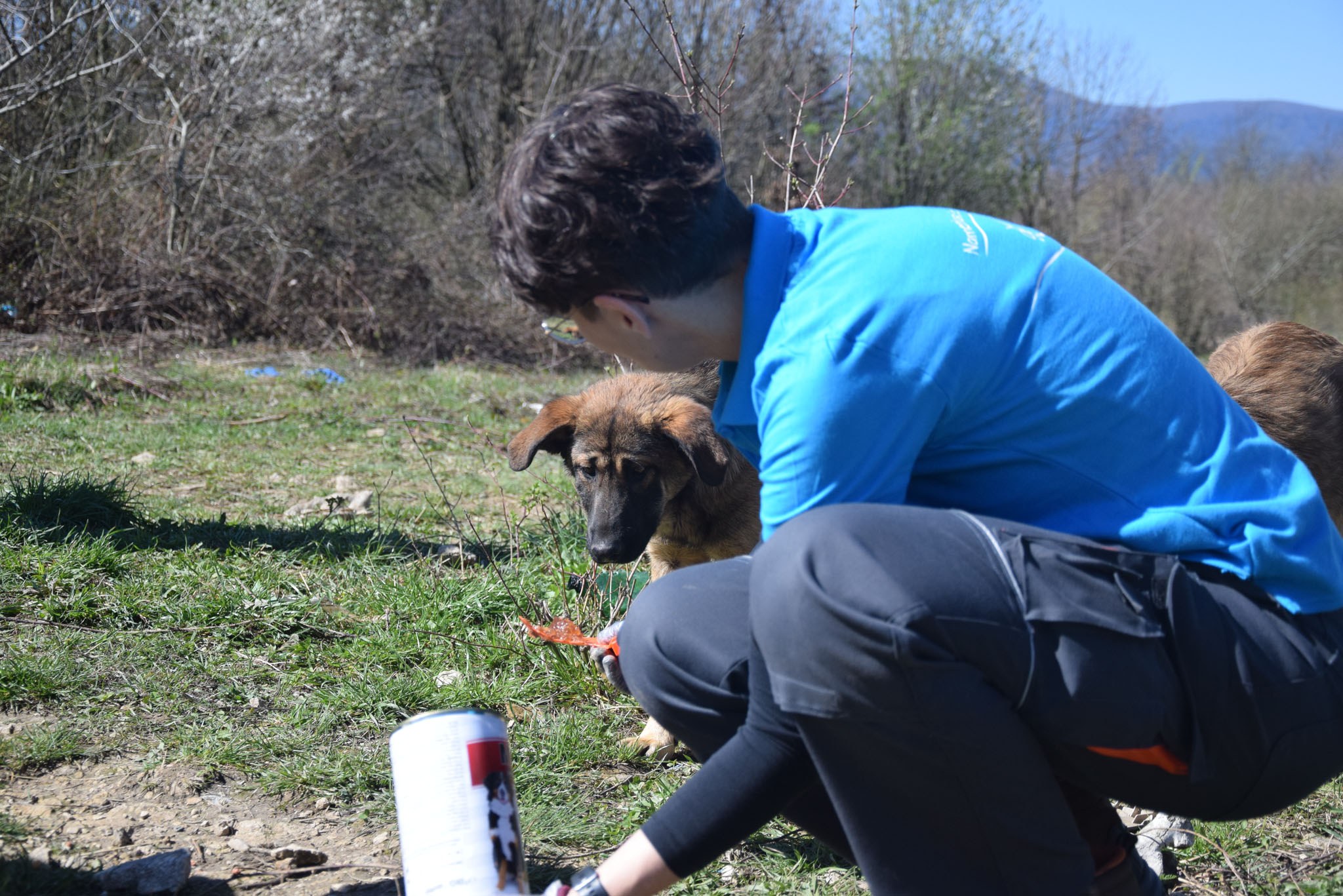 Namenlose Seelen in Not für Hunde der Mülldeponie Bihac 