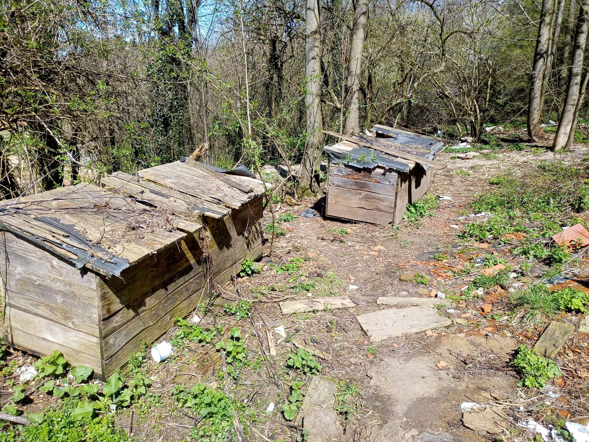 Namenlose Seelen in Not für Hunde der Mülldeponie Bihac 