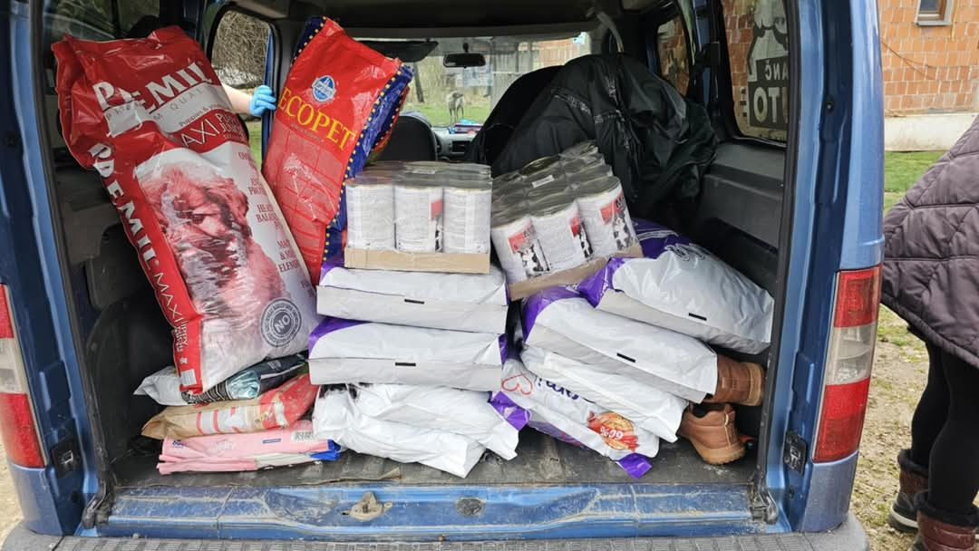 Fütterung Straßen- und Mülldeponie Hunde Bihac, Hunde in Not