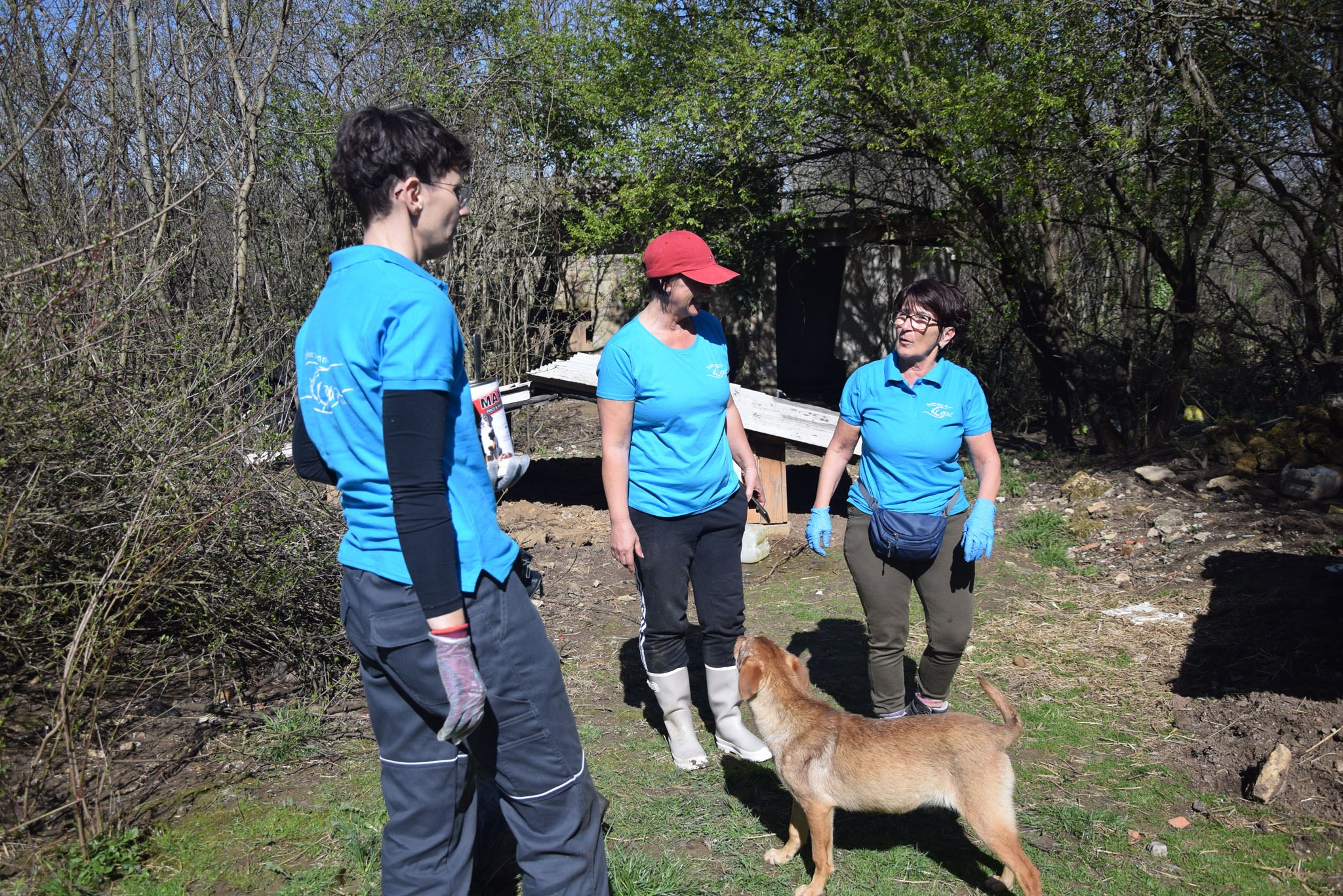 Namenlose Seelen in Not für Hunde der Mülldeponie Bihac 